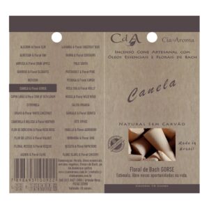 Incenso Cone Canela 10 Cones