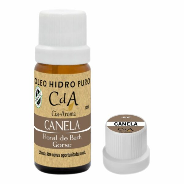 Display Óleo Hidrossolúvel Canela 10 Unidades - Imagem 3